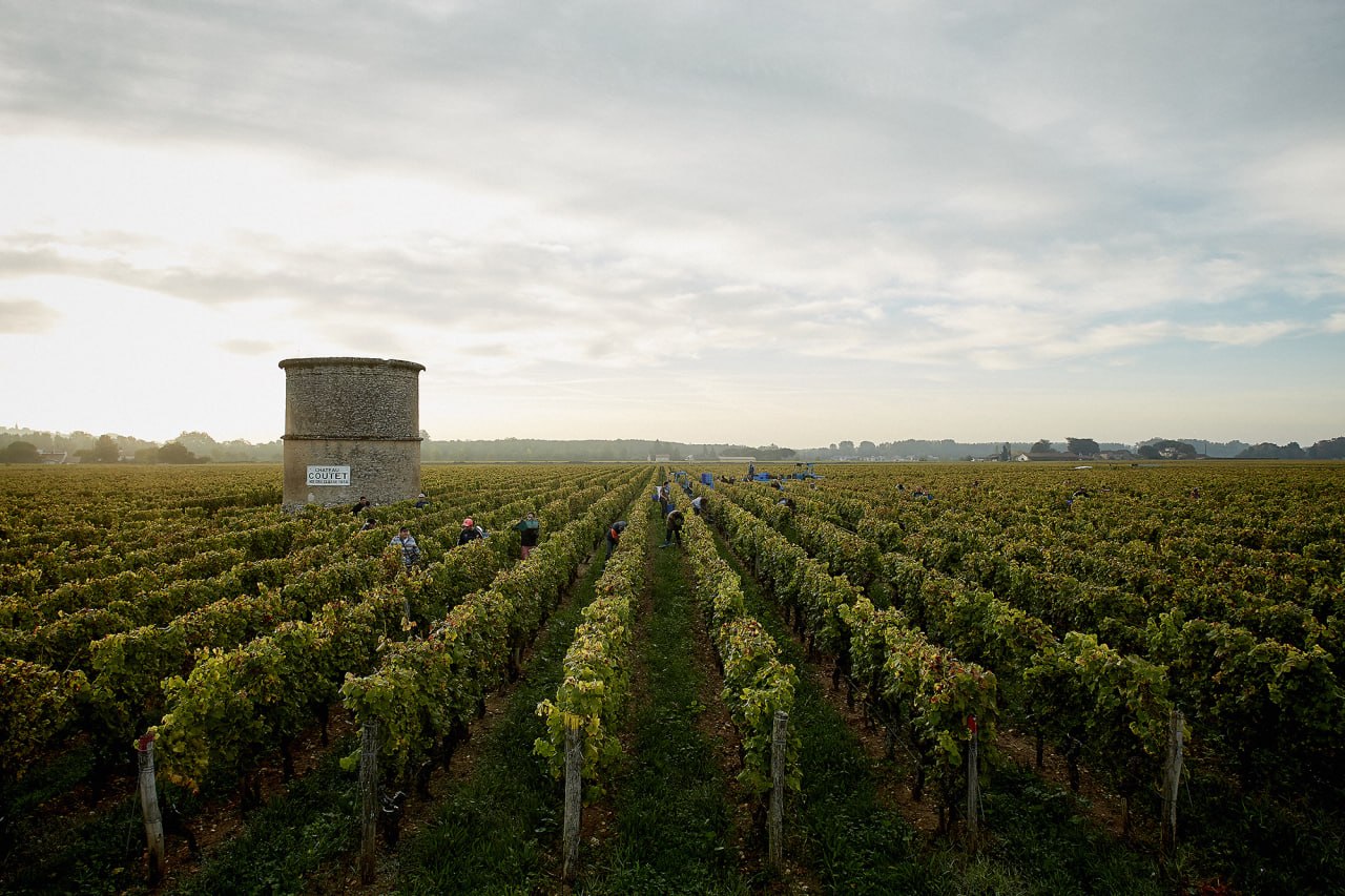 Wide vineyard landscape with mist and a stone tower in the Bordeaux countryside