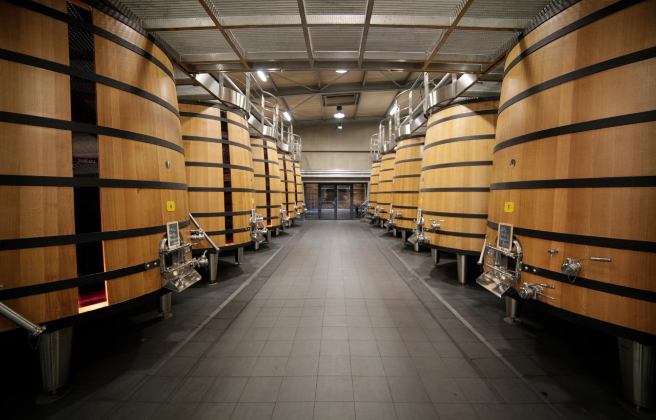 Modern winery fermentation room with large oak vats